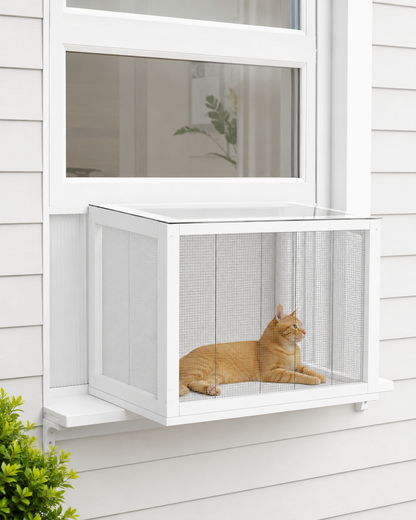 PURR Window Box